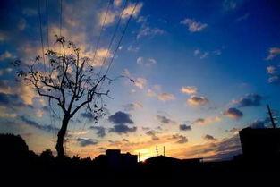 孤星自照青云路,砥砺前行的人生篇章