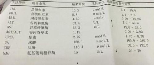 肝癌疑云：藏在体检单里的秘密,探寻健康背后的秘密