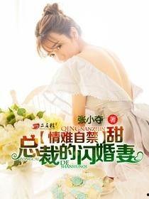 总裁的闪婚甜妻,甜蜜邂逅，情深不渝